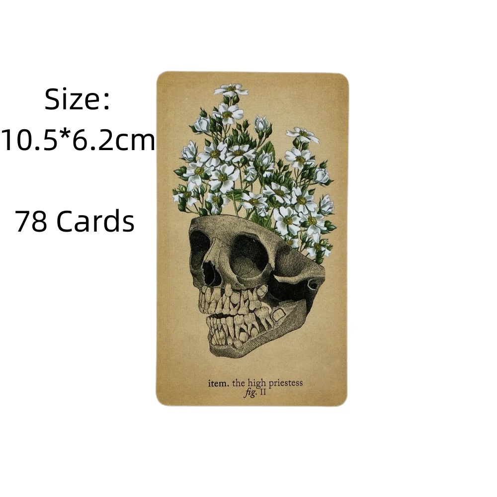 The Antique Anatomy Tarot Card - đánh giá và giá Card Game Deck